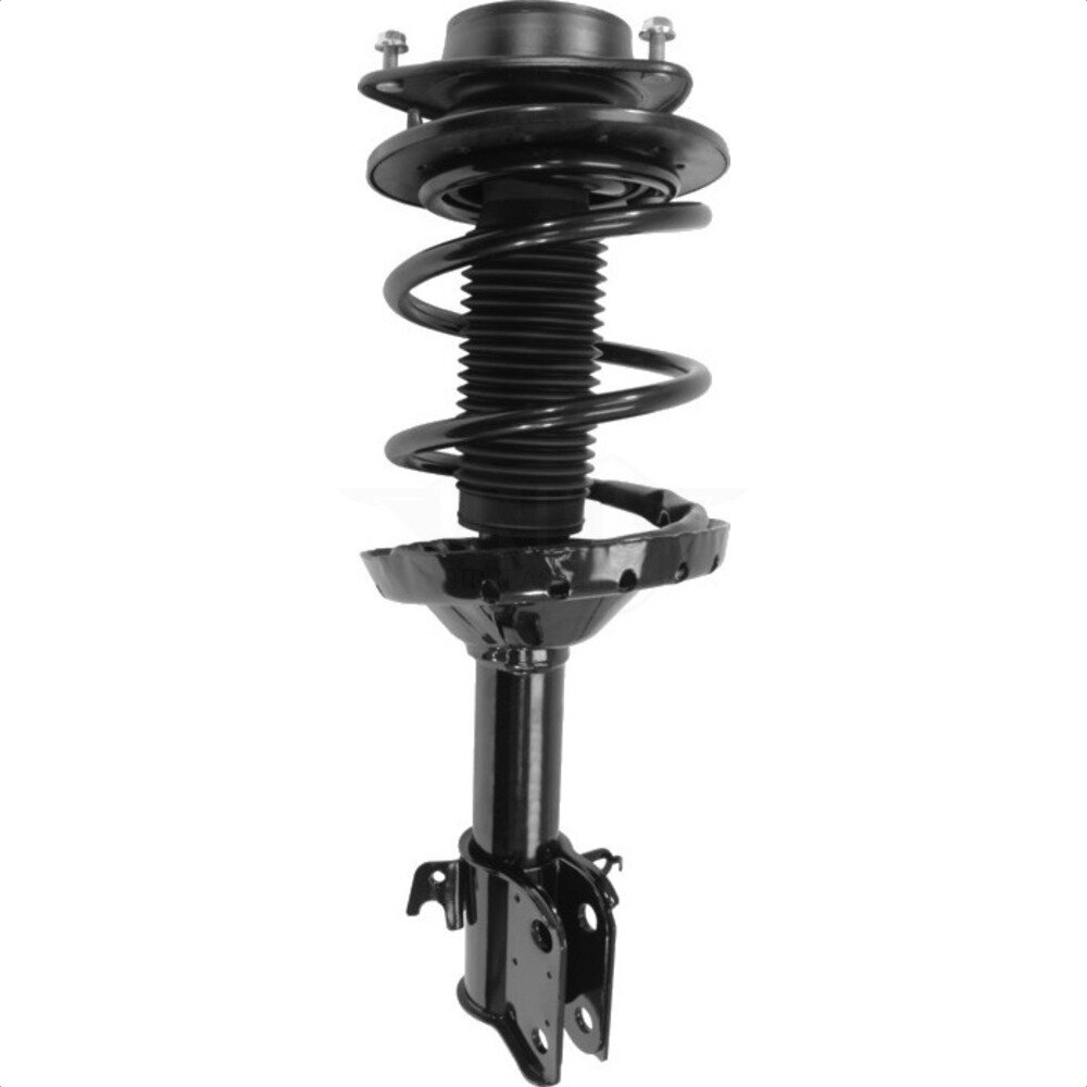 Suspension Strut Coil Spring Assembly