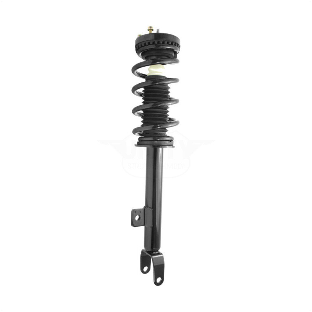 Suspension Strut Coil Spring Assembly