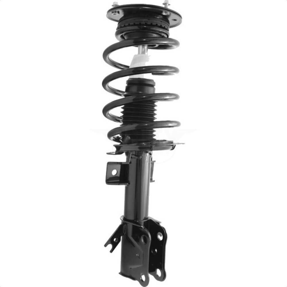 Suspension Strut Coil Spring Assembly