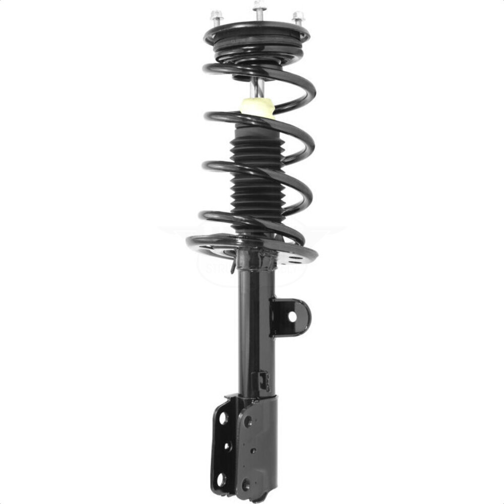 Suspension Strut Coil Spring Assembly