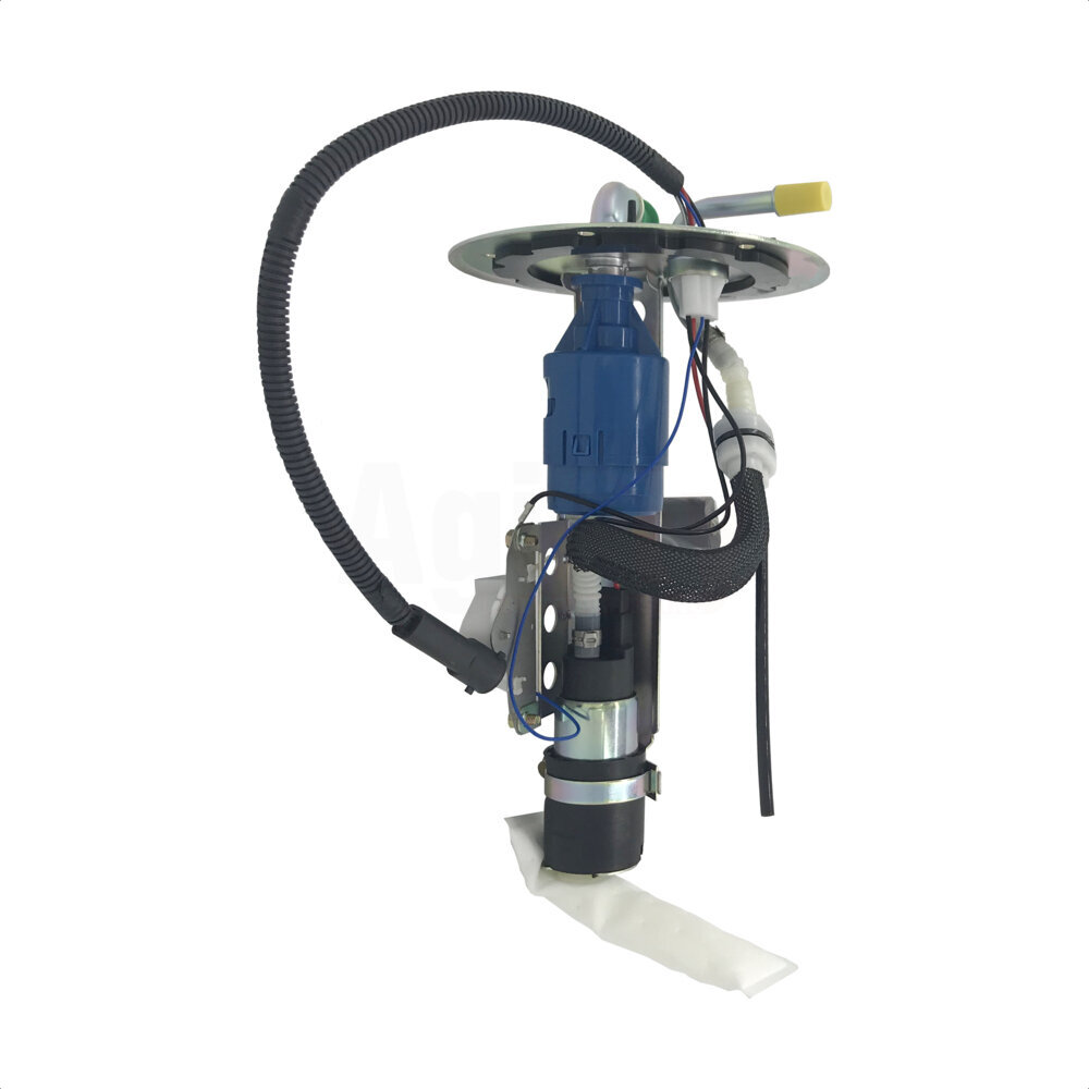 Fuel Pump Sender Assembly