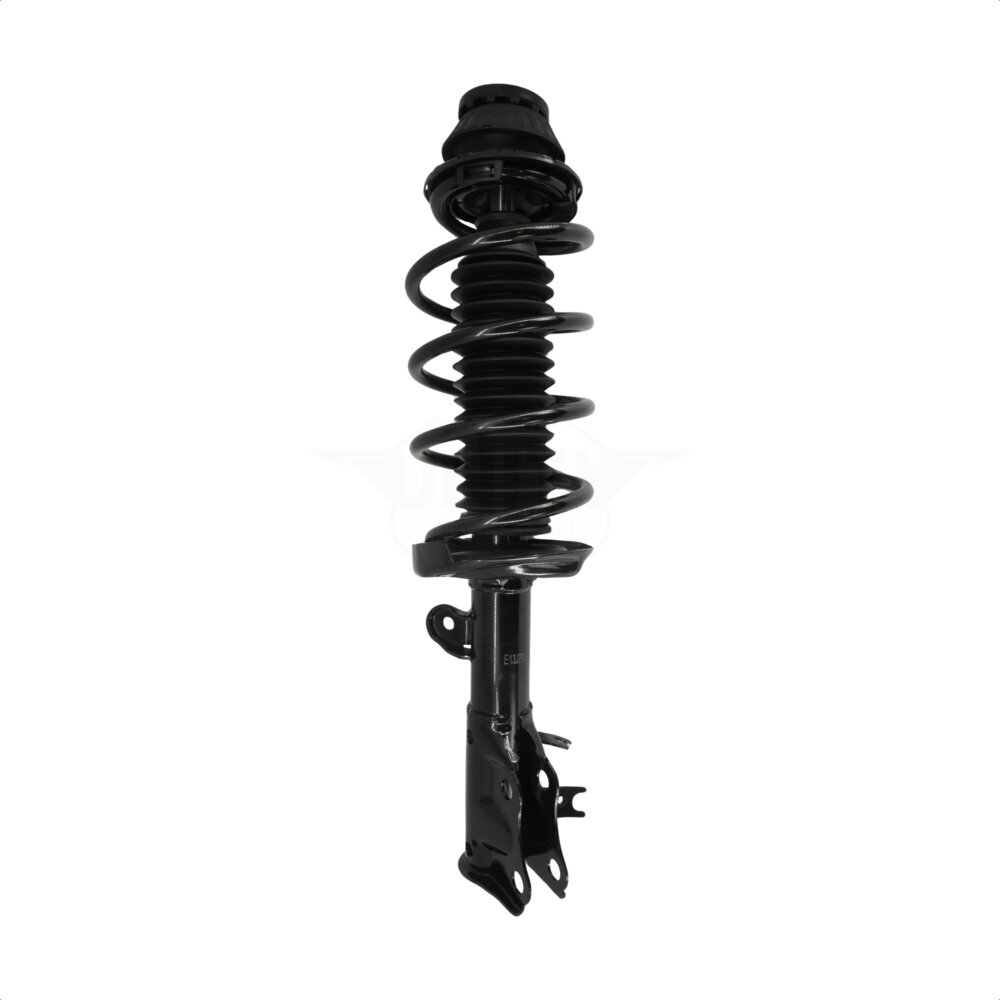 Suspension Strut Coil Spring Assembly