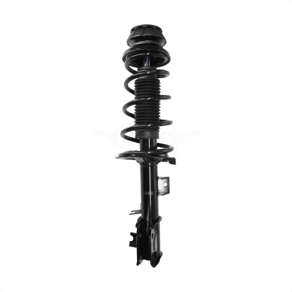Suspension Strut Coil Spring Assembly