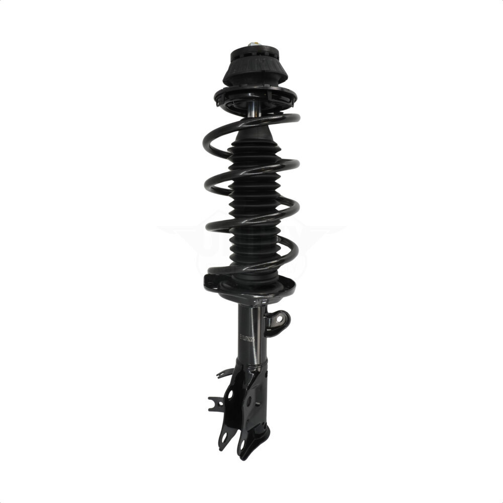 Suspension Strut Coil Spring Assembly