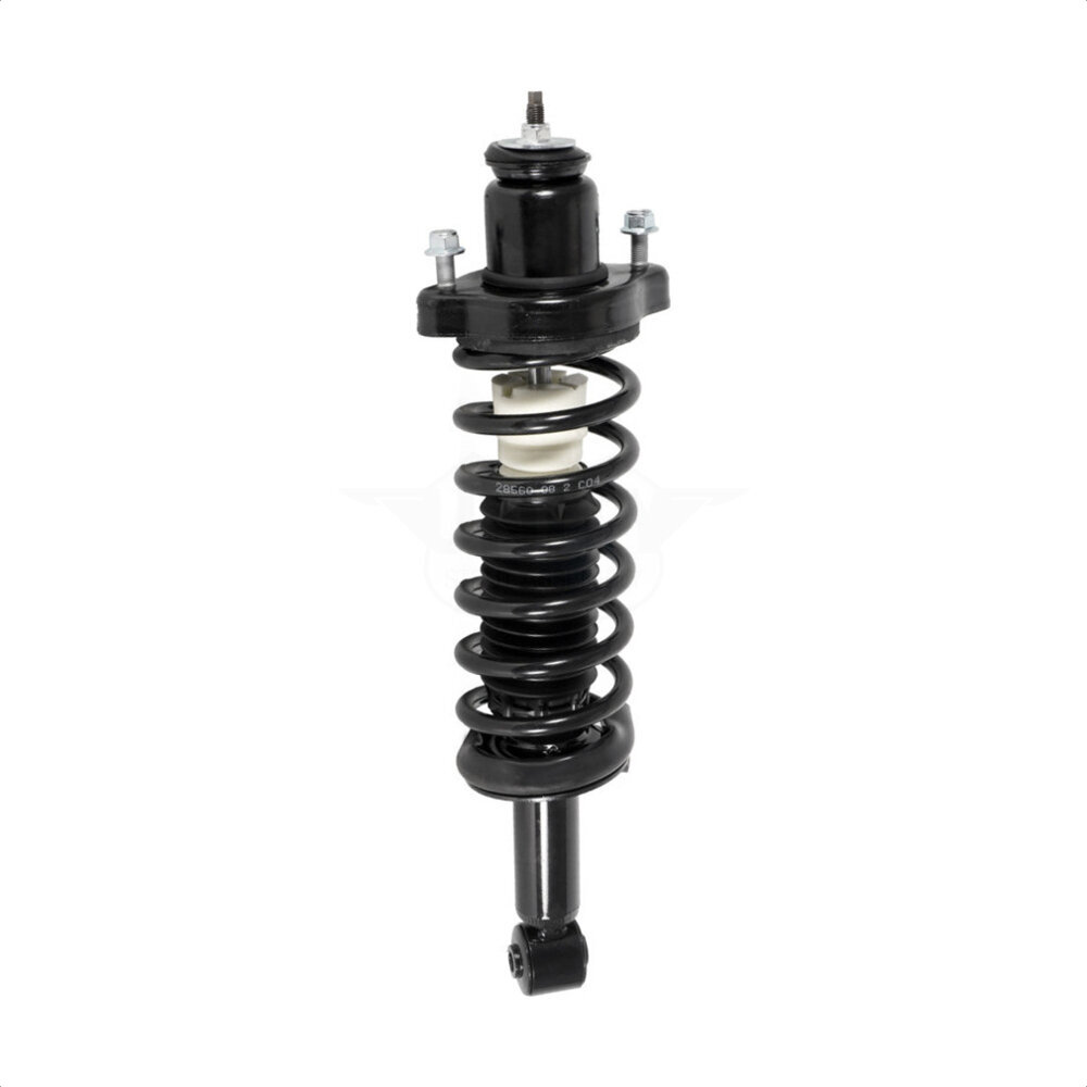 Suspension Strut Coil Spring Assembly
