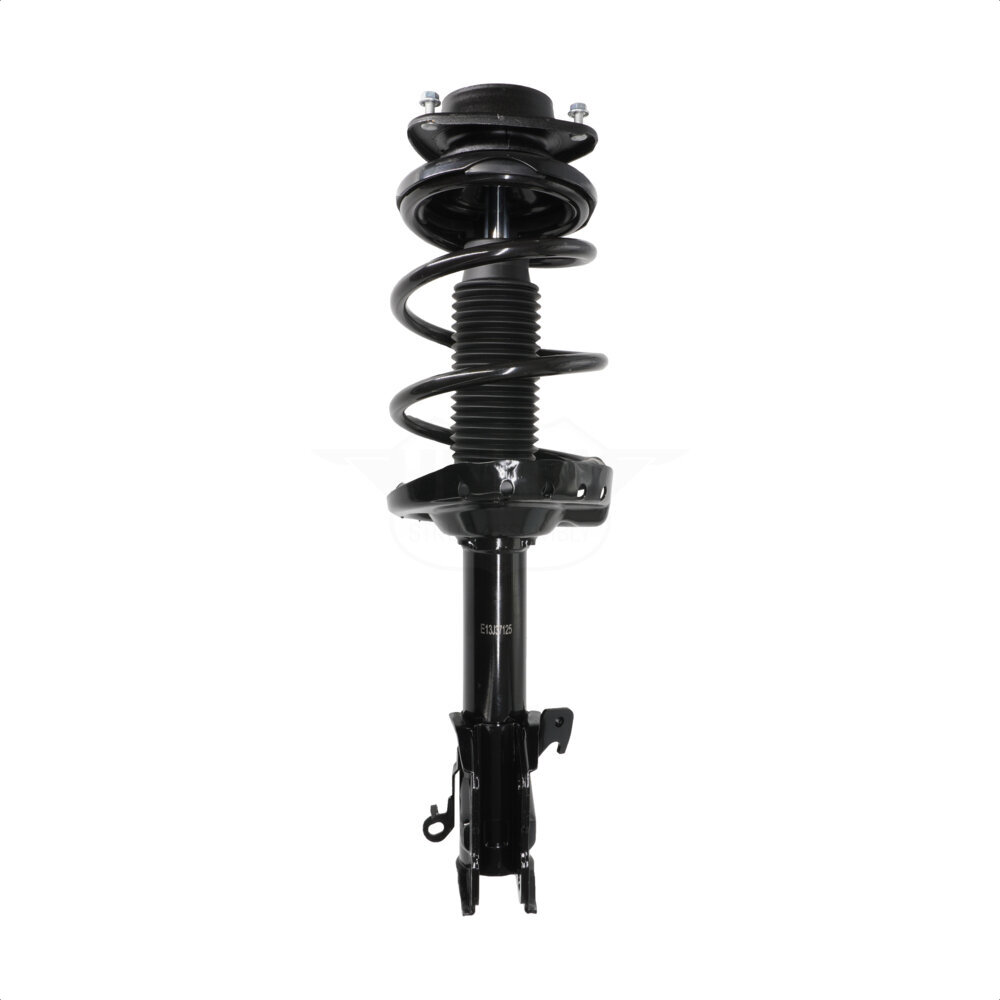 Suspension Strut Coil Spring Assembly
