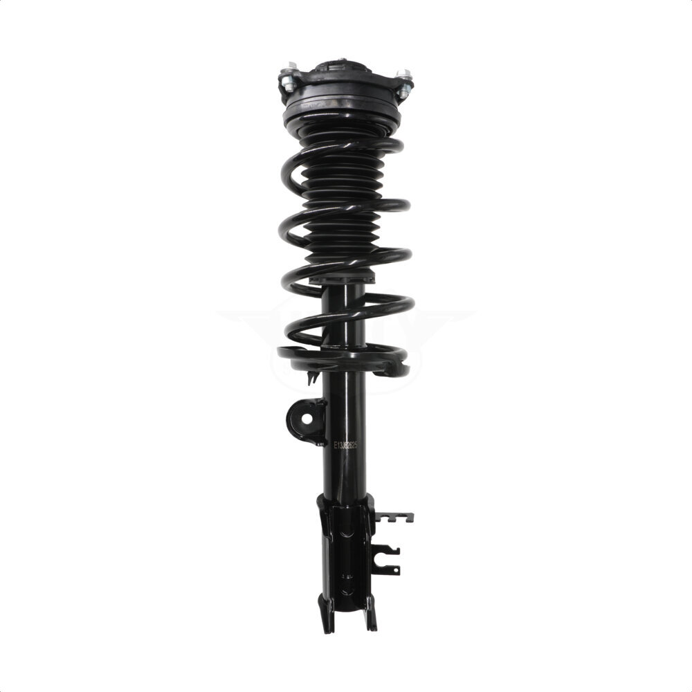 Suspension Strut Coil Spring Assembly