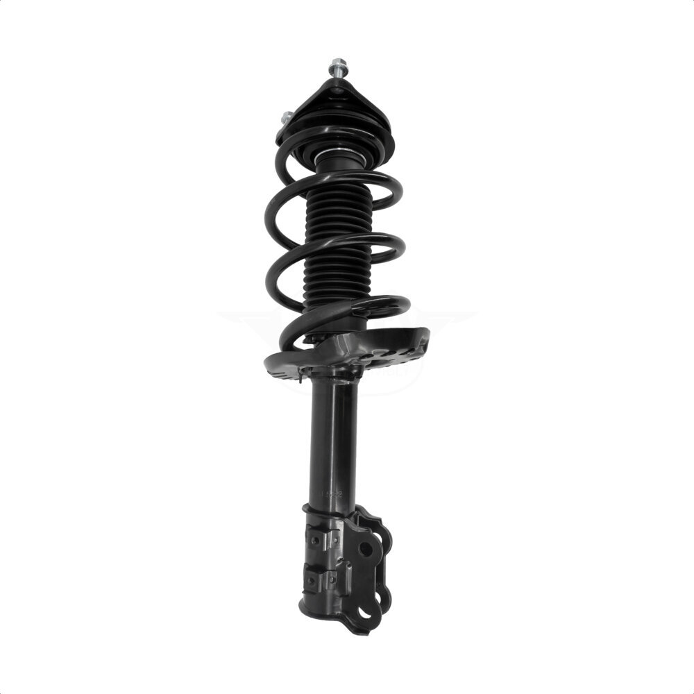 Suspension Strut Coil Spring Assembly