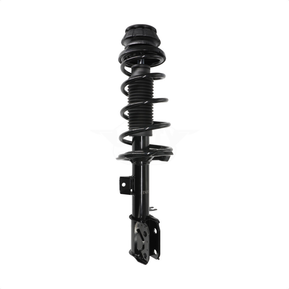 Suspension Strut Coil Spring Assembly