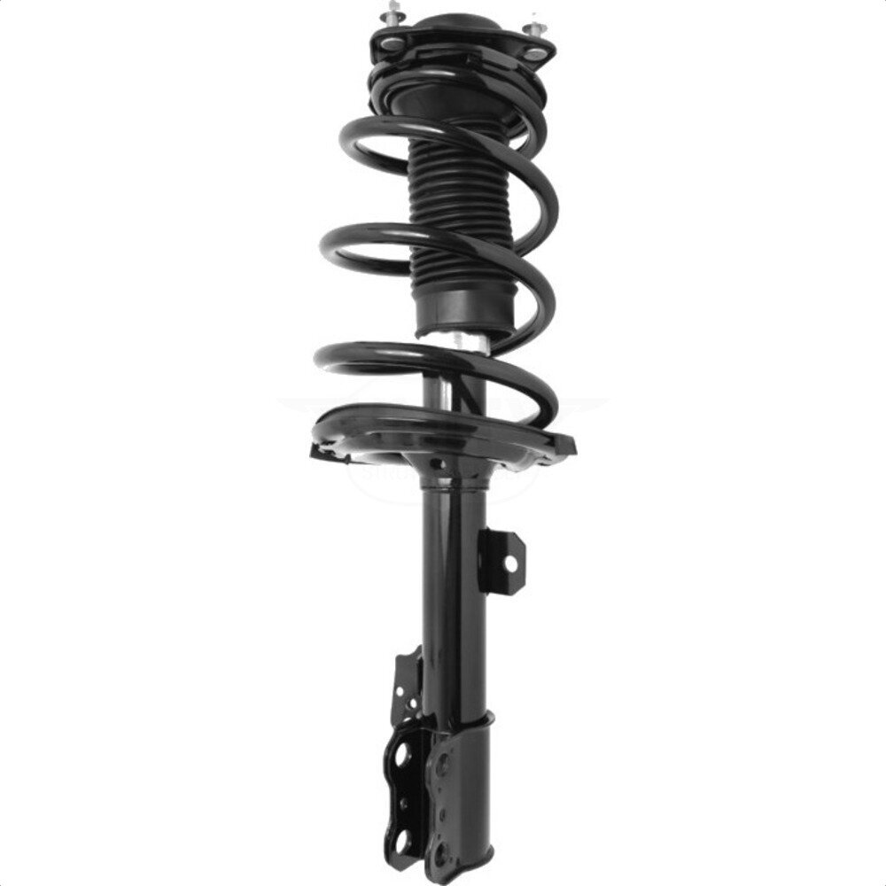 Suspension Strut Coil Spring Assembly