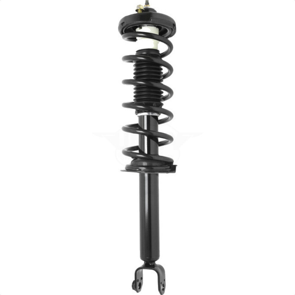 Suspension Strut Coil Spring Assembly