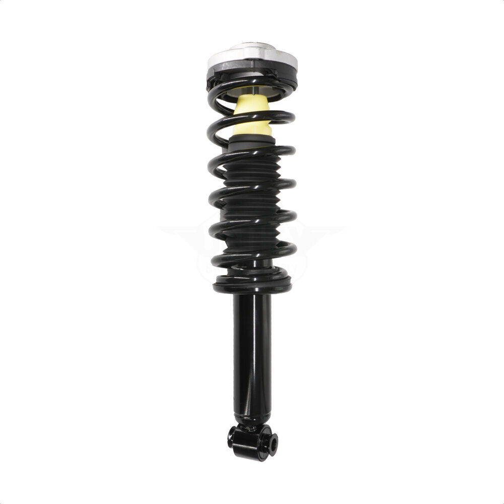 Suspension Strut Coil Spring Assembly