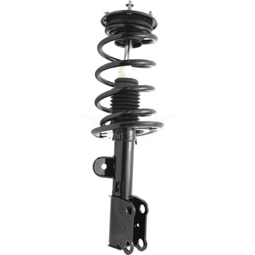 Suspension Strut Coil Spring Assembly