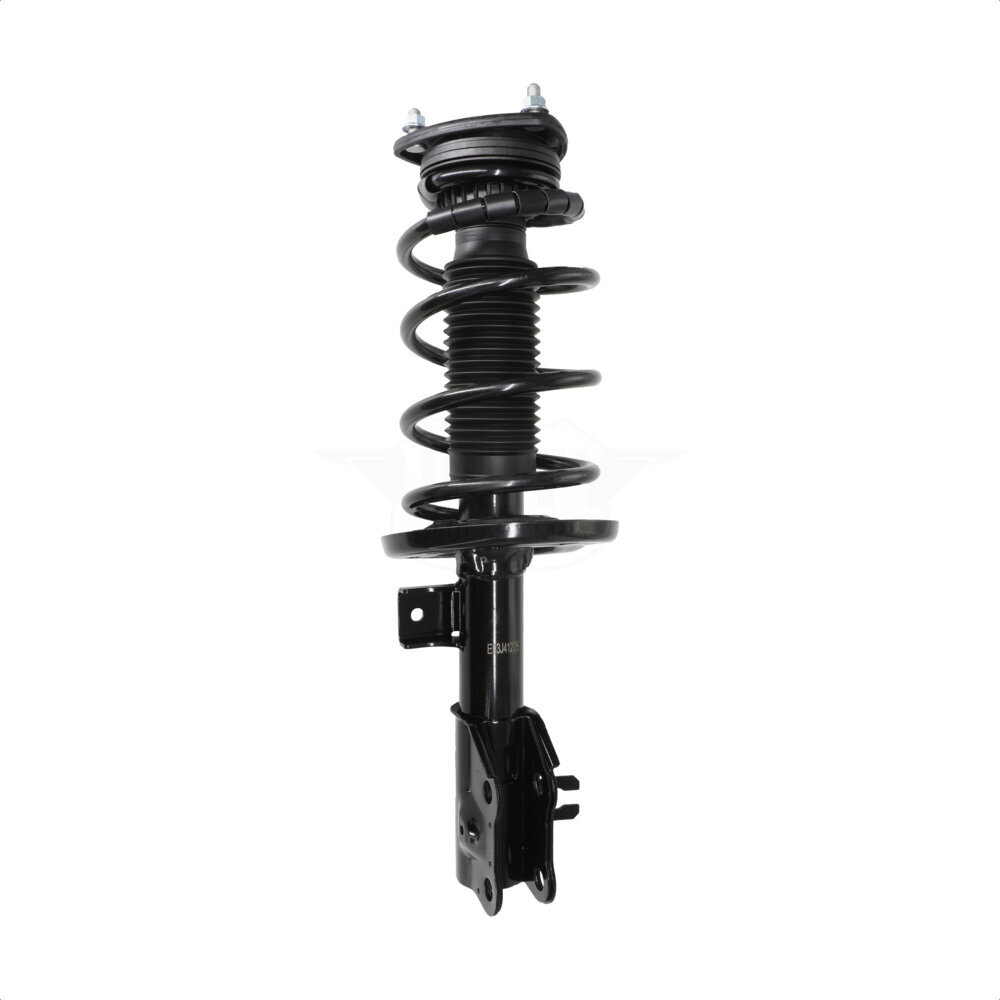 Suspension Strut Coil Spring Assembly