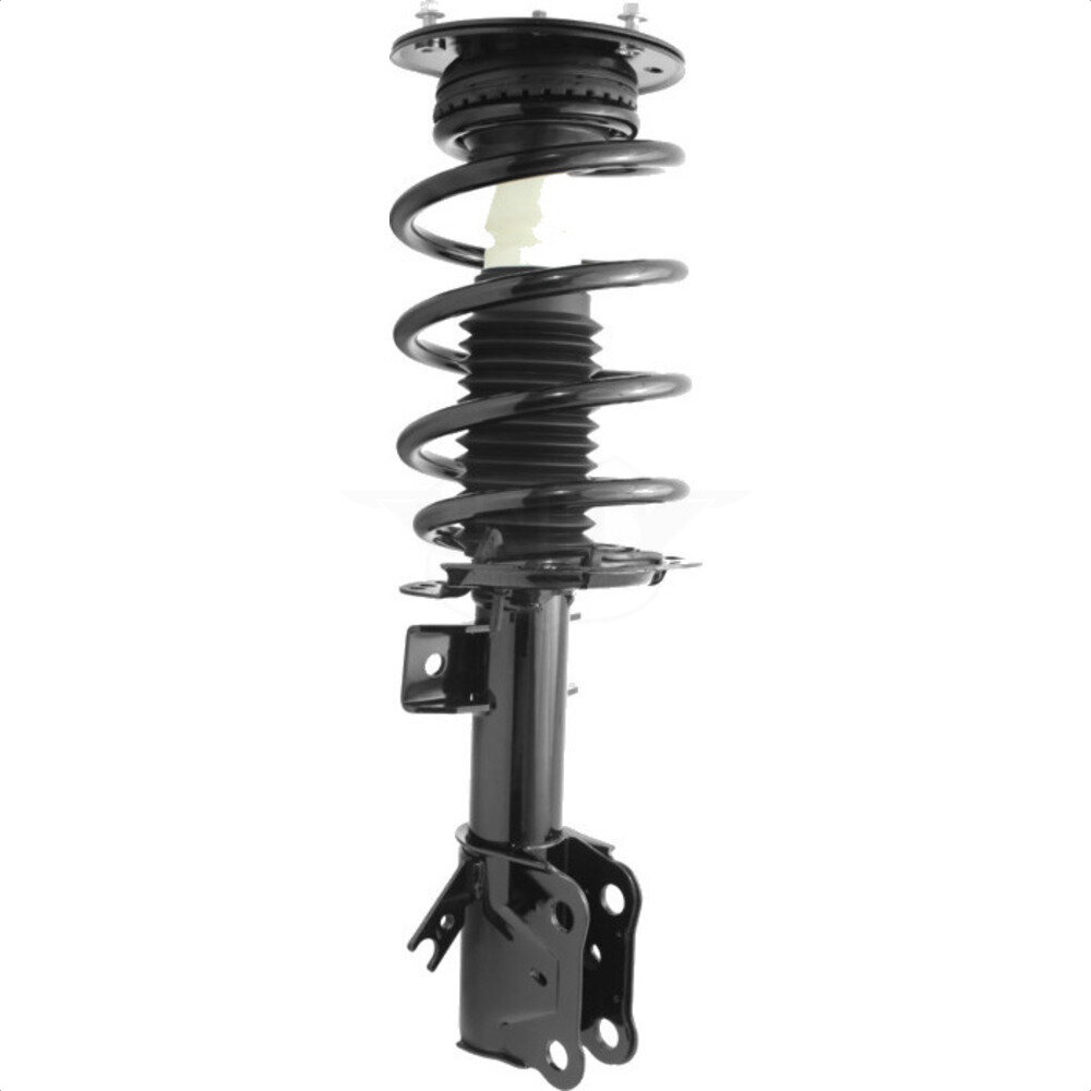 Suspension Strut Coil Spring Assembly