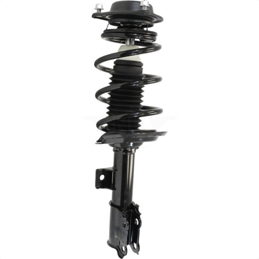 Suspension Strut Coil Spring Assembly