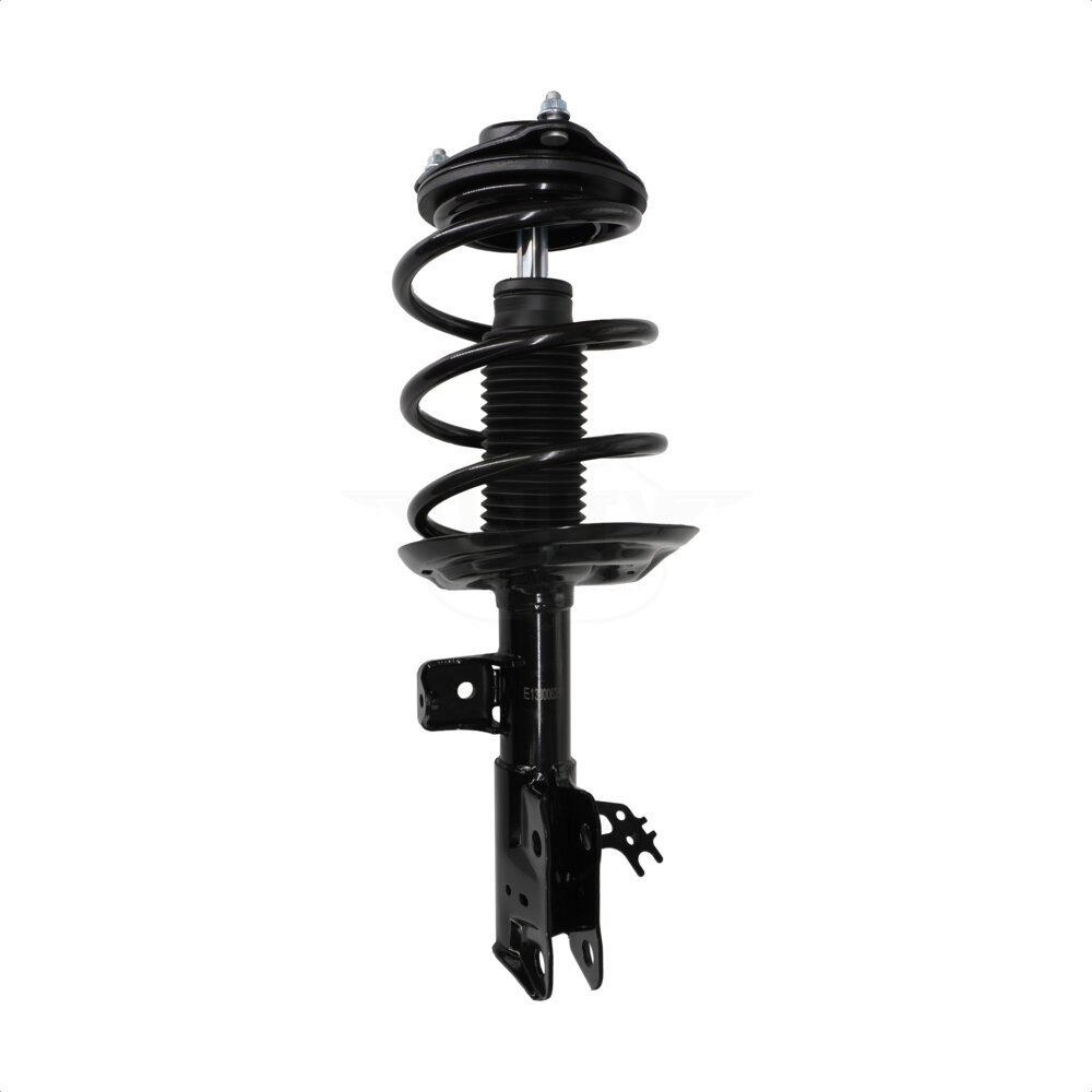 Suspension Strut Coil Spring Assembly