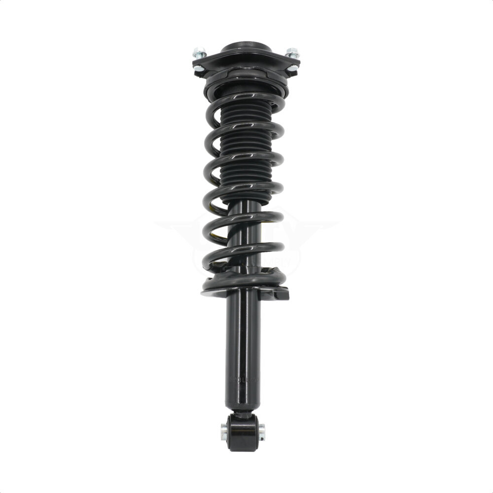 Suspension Strut Coil Spring Assembly