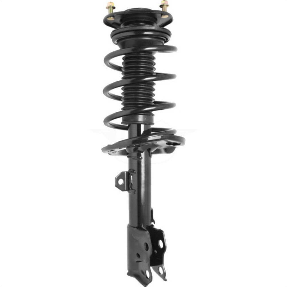 Suspension Strut Coil Spring Assembly
