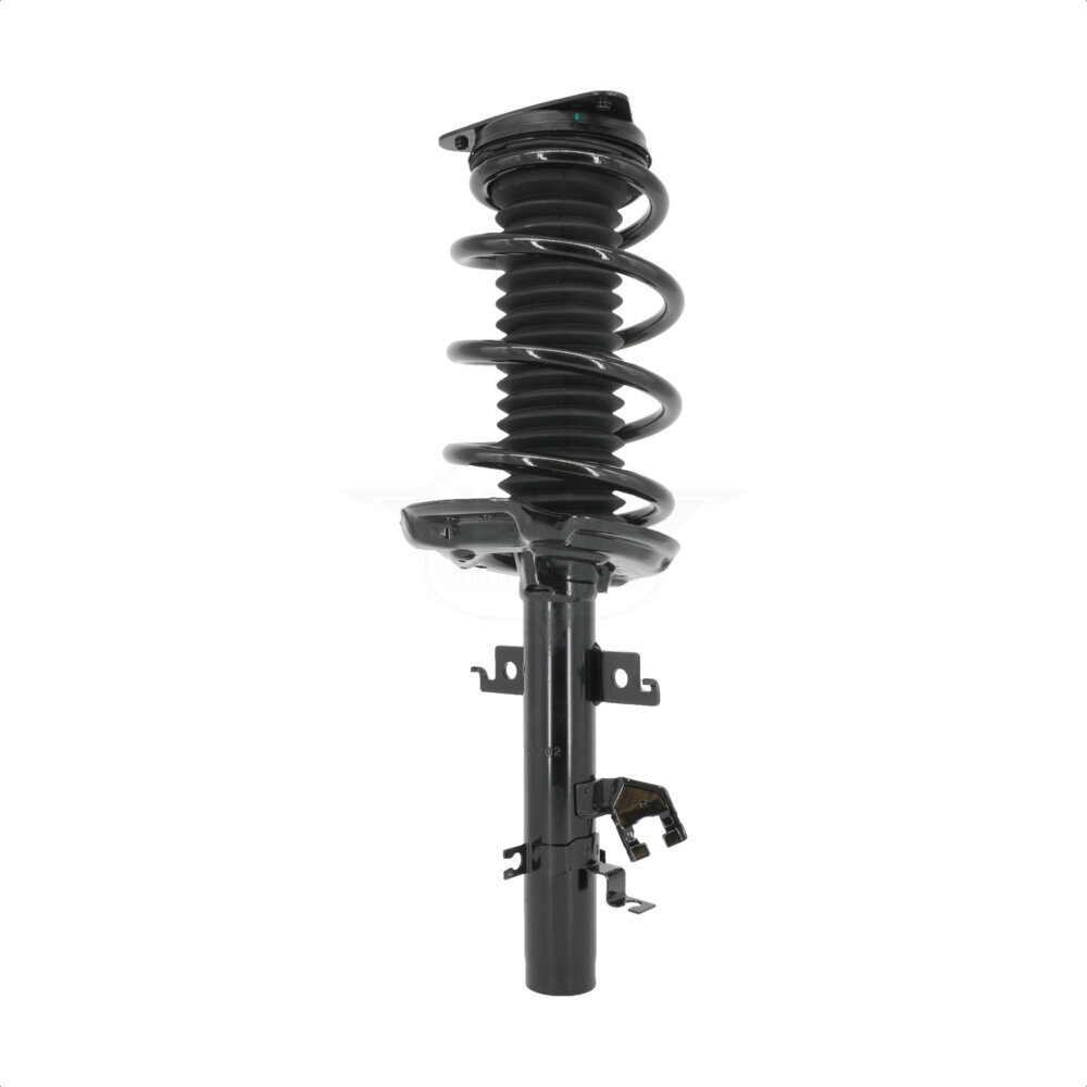 Suspension Strut Coil Spring Assembly
