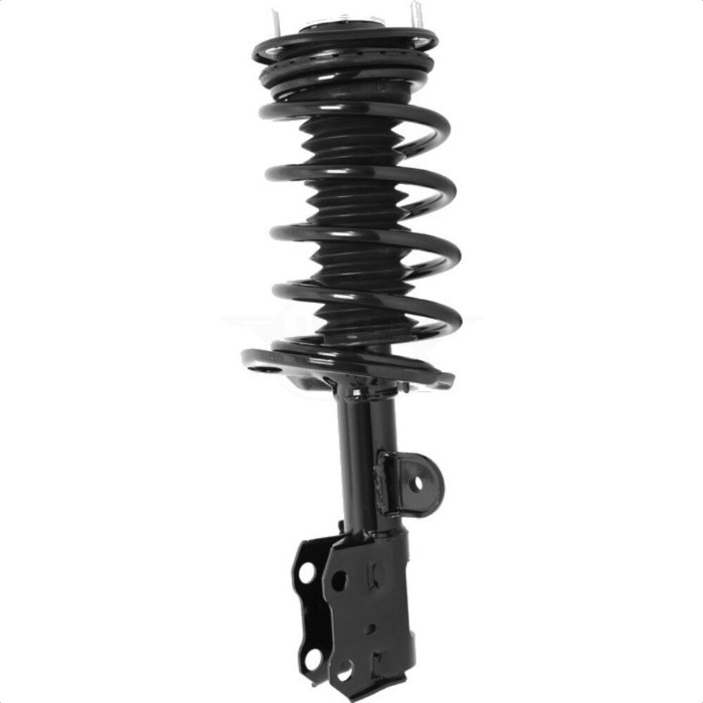 Suspension Strut Coil Spring Assembly