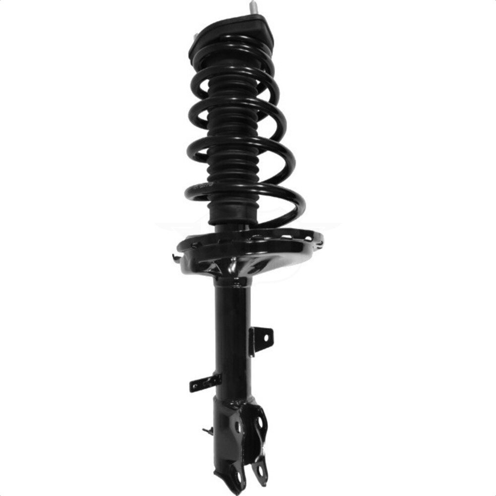 Suspension Strut Coil Spring Assembly
