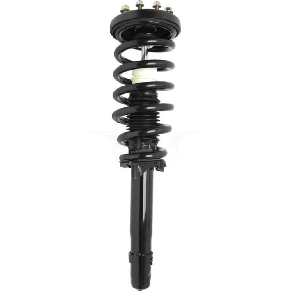 Suspension Strut Coil Spring Assembly
