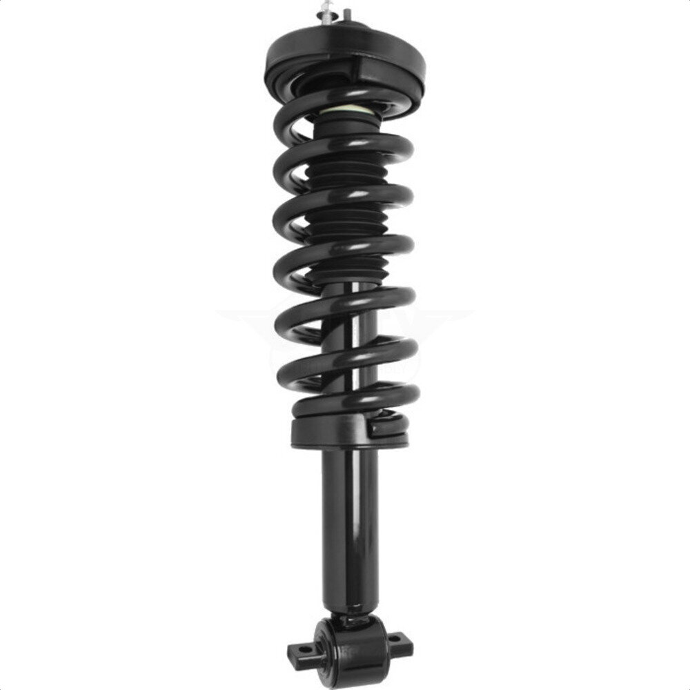 Suspension Strut Coil Spring Assembly