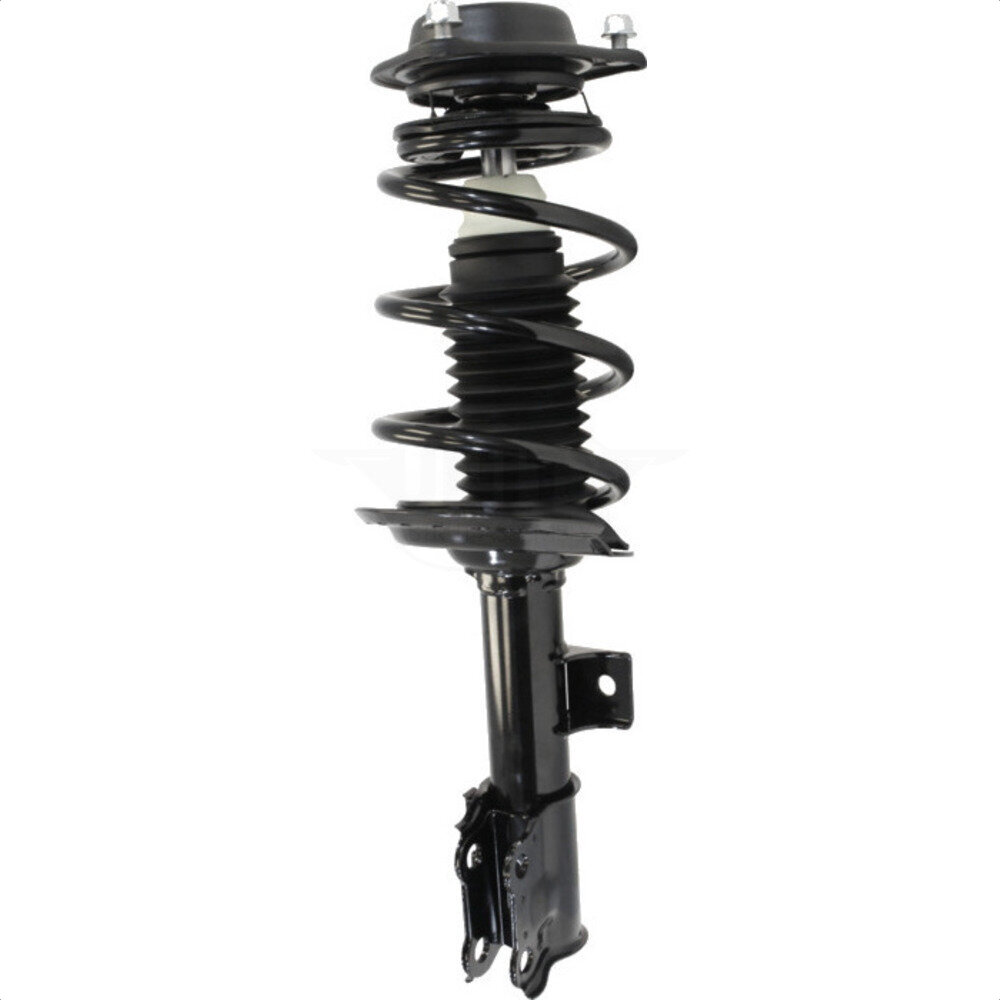 Suspension Strut Coil Spring Assembly