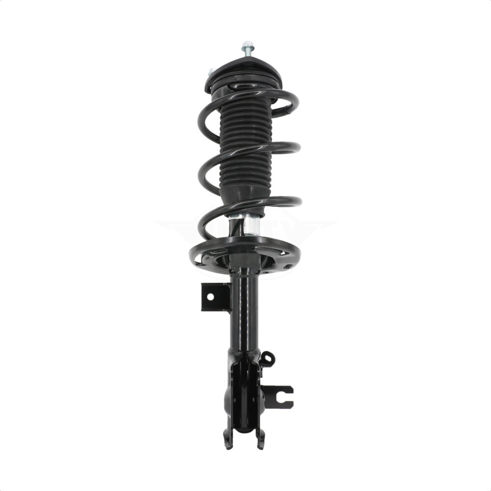 Suspension Strut Coil Spring Assembly