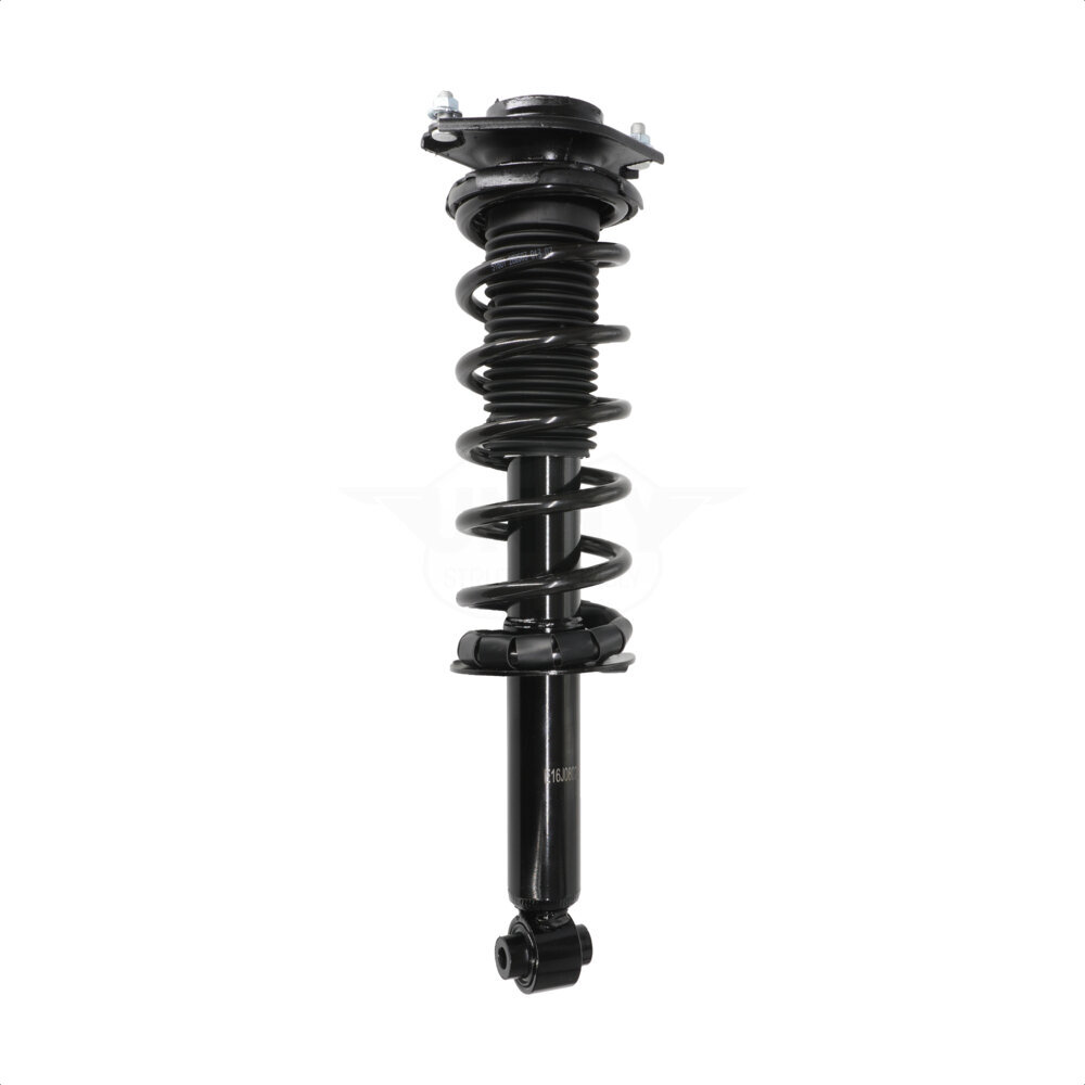 Suspension Strut Coil Spring Assembly