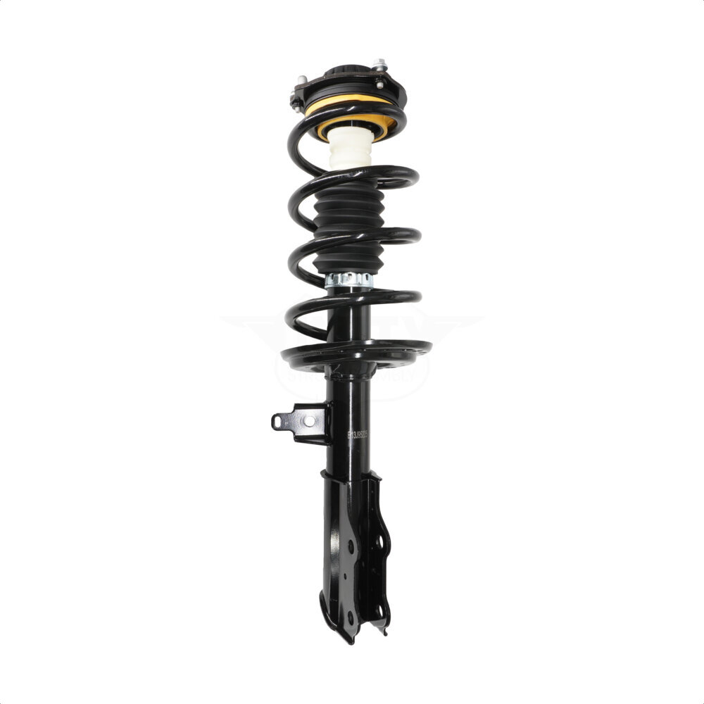 Suspension Strut Coil Spring Assembly