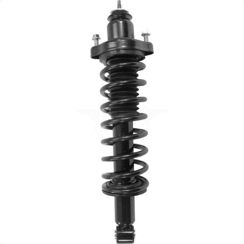Suspension Strut Coil Spring Assembly