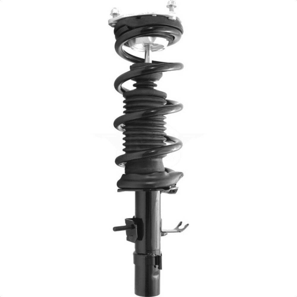 Suspension Strut Coil Spring Assembly