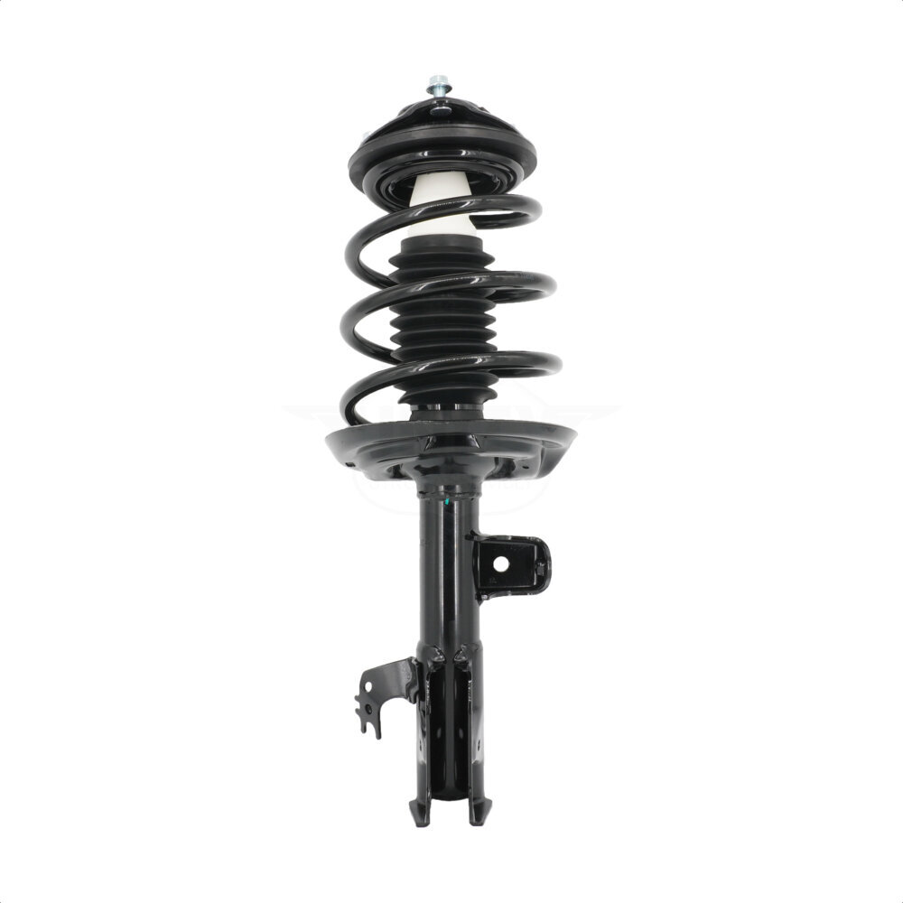Suspension Strut Coil Spring Assembly