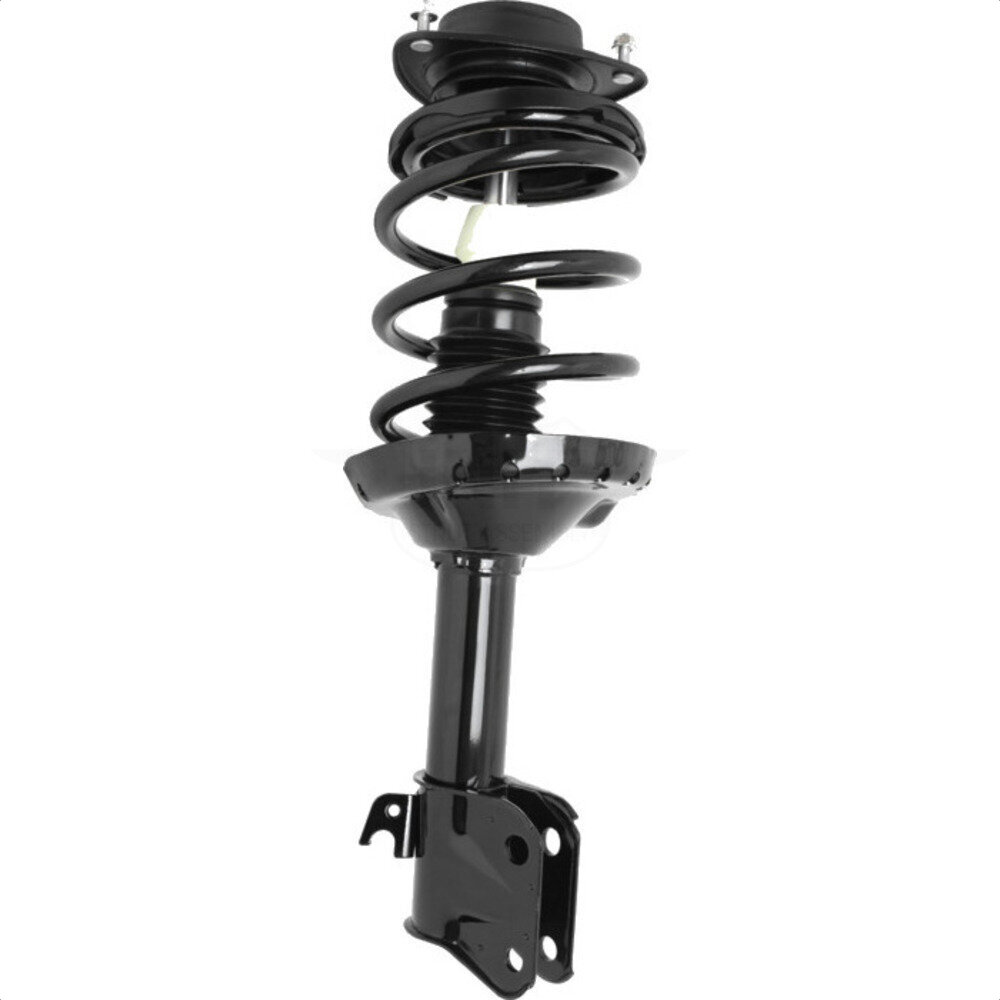Suspension Strut Coil Spring Assembly