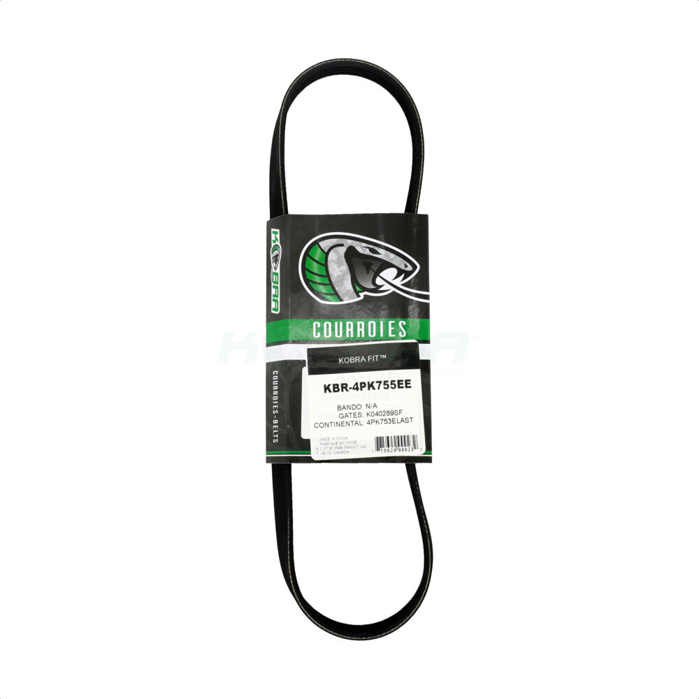 Serpentine Belt