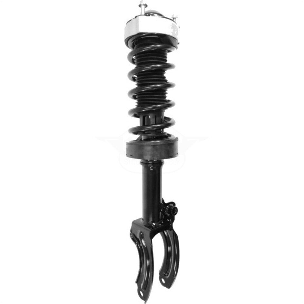 Suspension Strut Coil Spring Assembly
