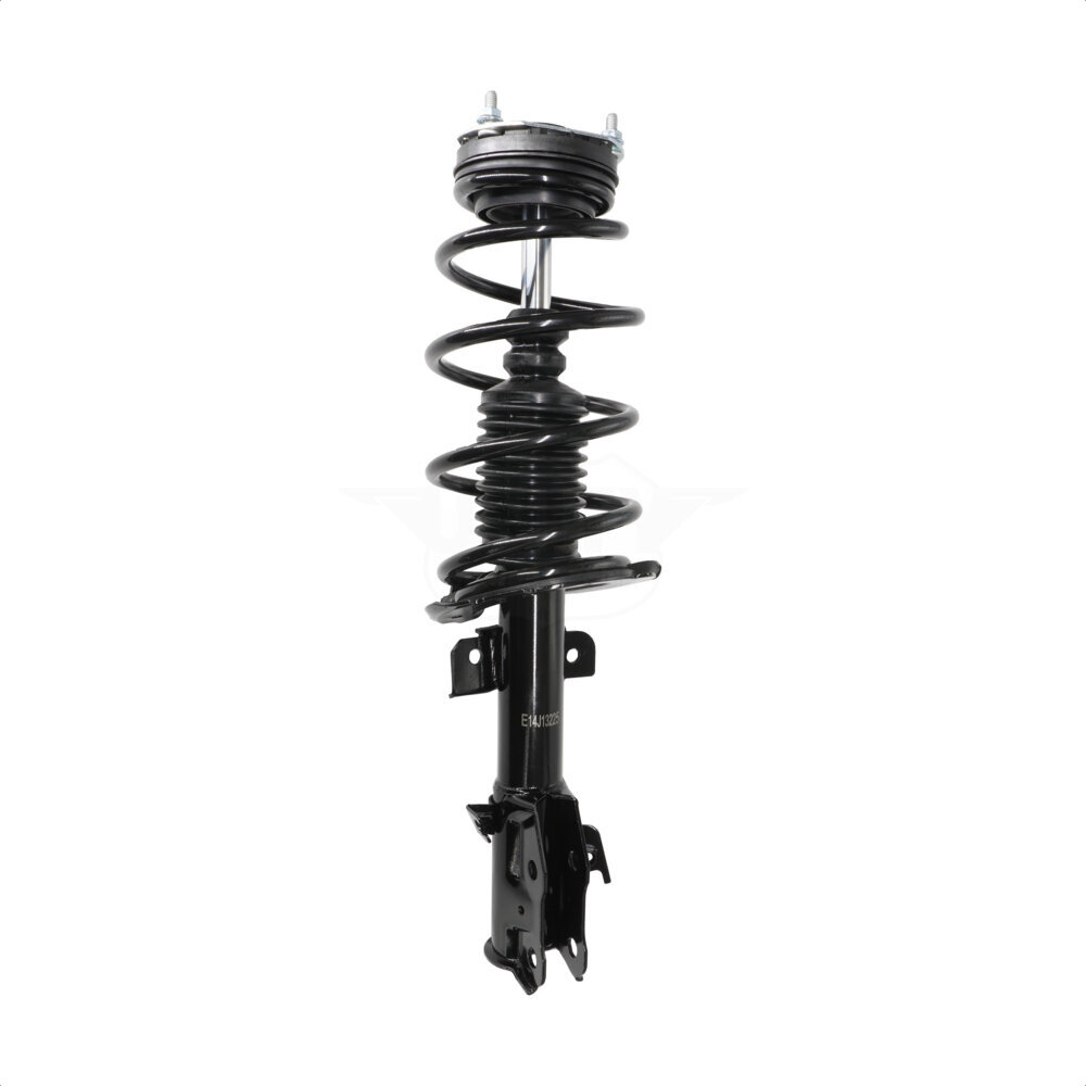 Suspension Strut Coil Spring Assembly