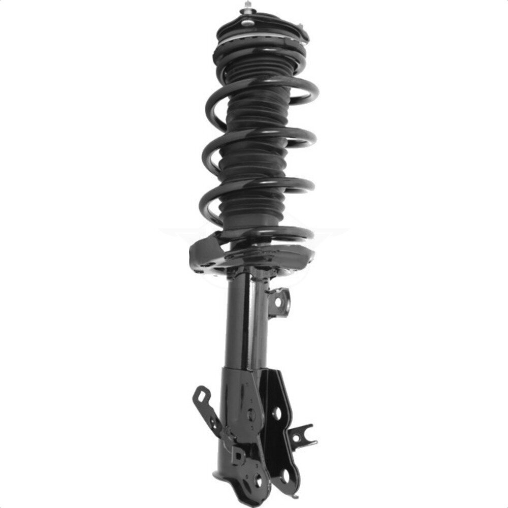 Suspension Strut Coil Spring Assembly
