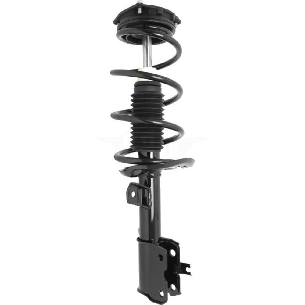 Suspension Strut Coil Spring Assembly