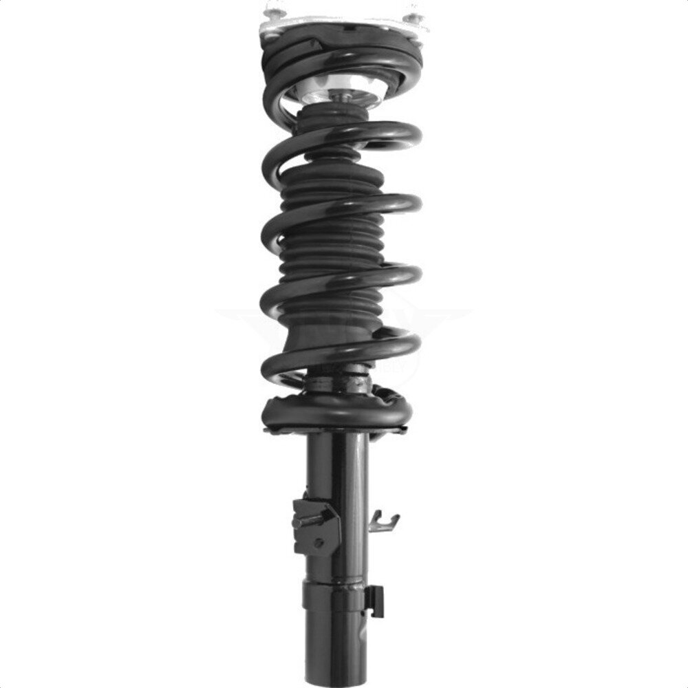 Suspension Strut Coil Spring Assembly