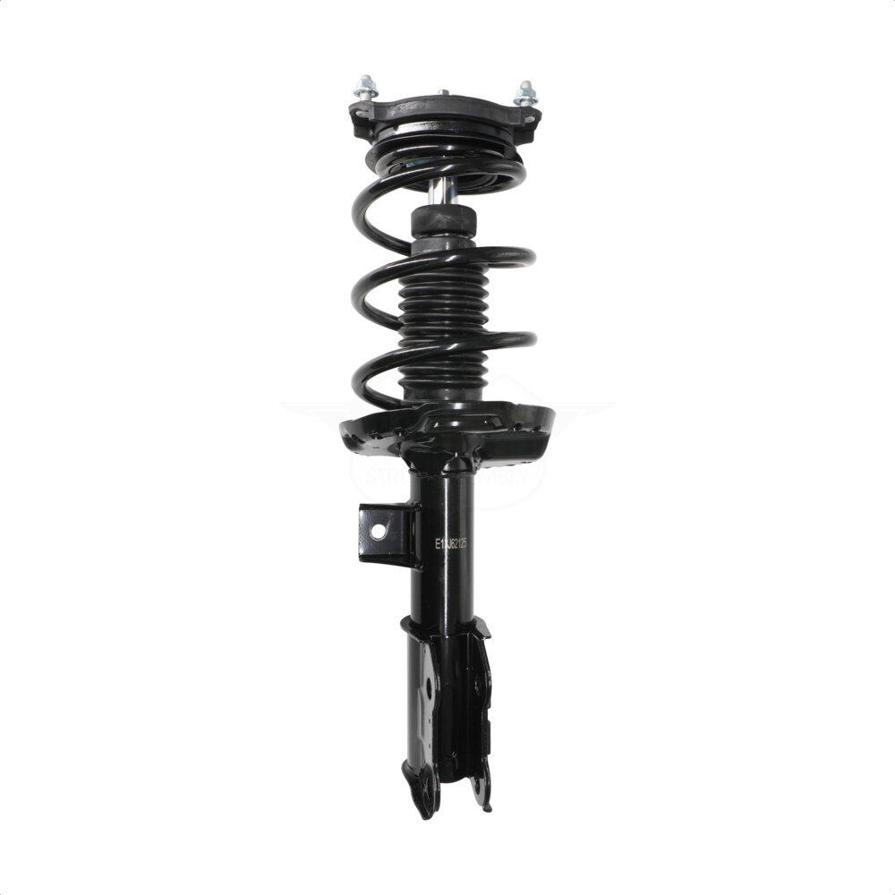 Suspension Strut Coil Spring Assembly