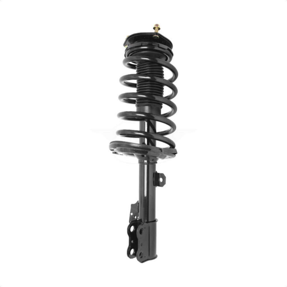 Suspension Strut Coil Spring Assembly
