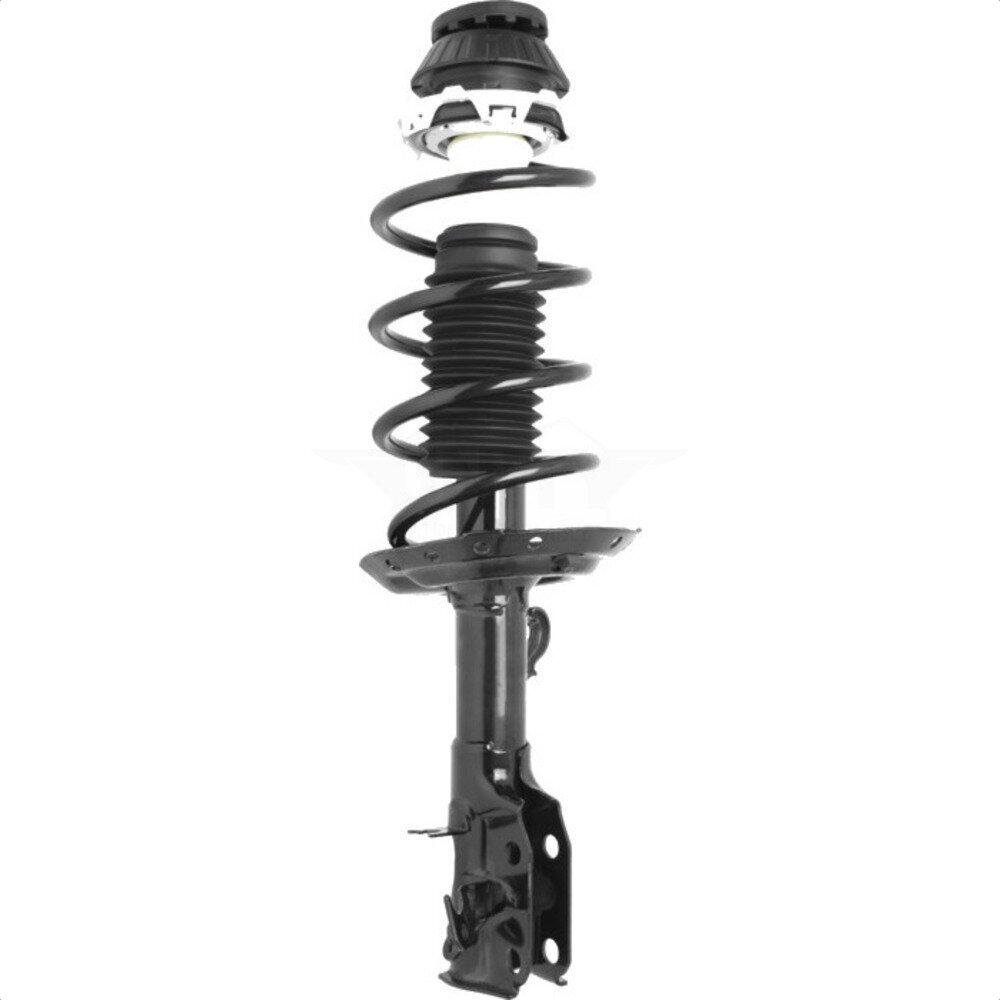 Suspension Strut Coil Spring Assembly
