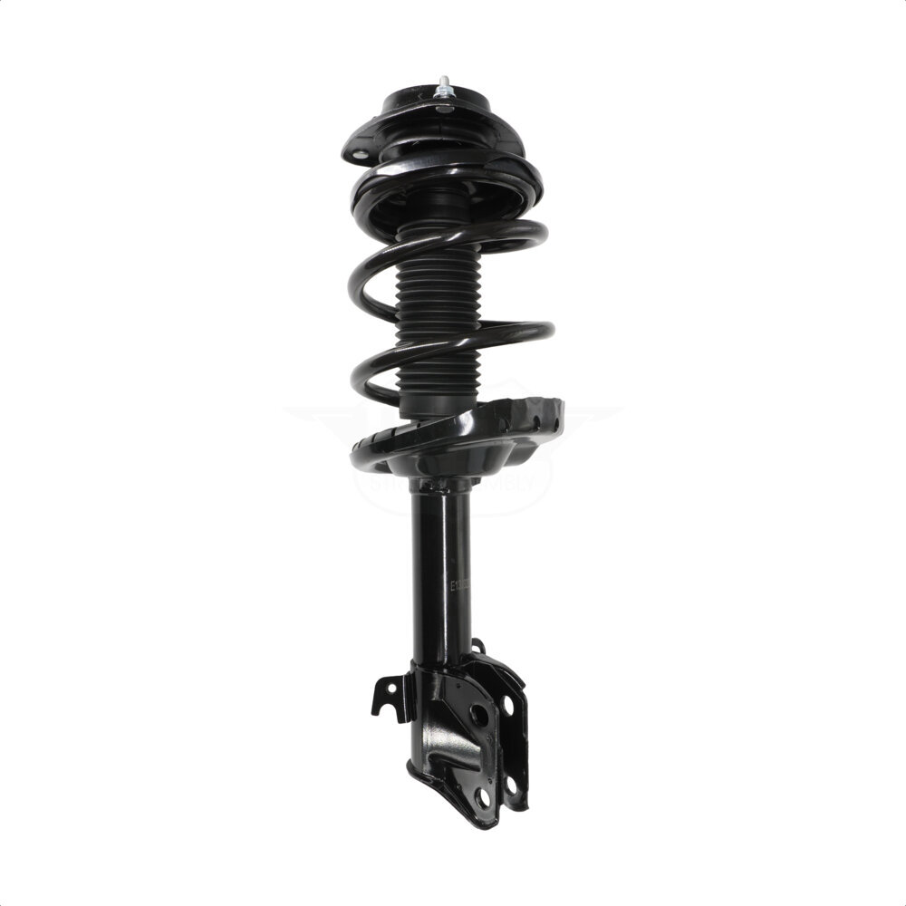 Suspension Strut Coil Spring Assembly