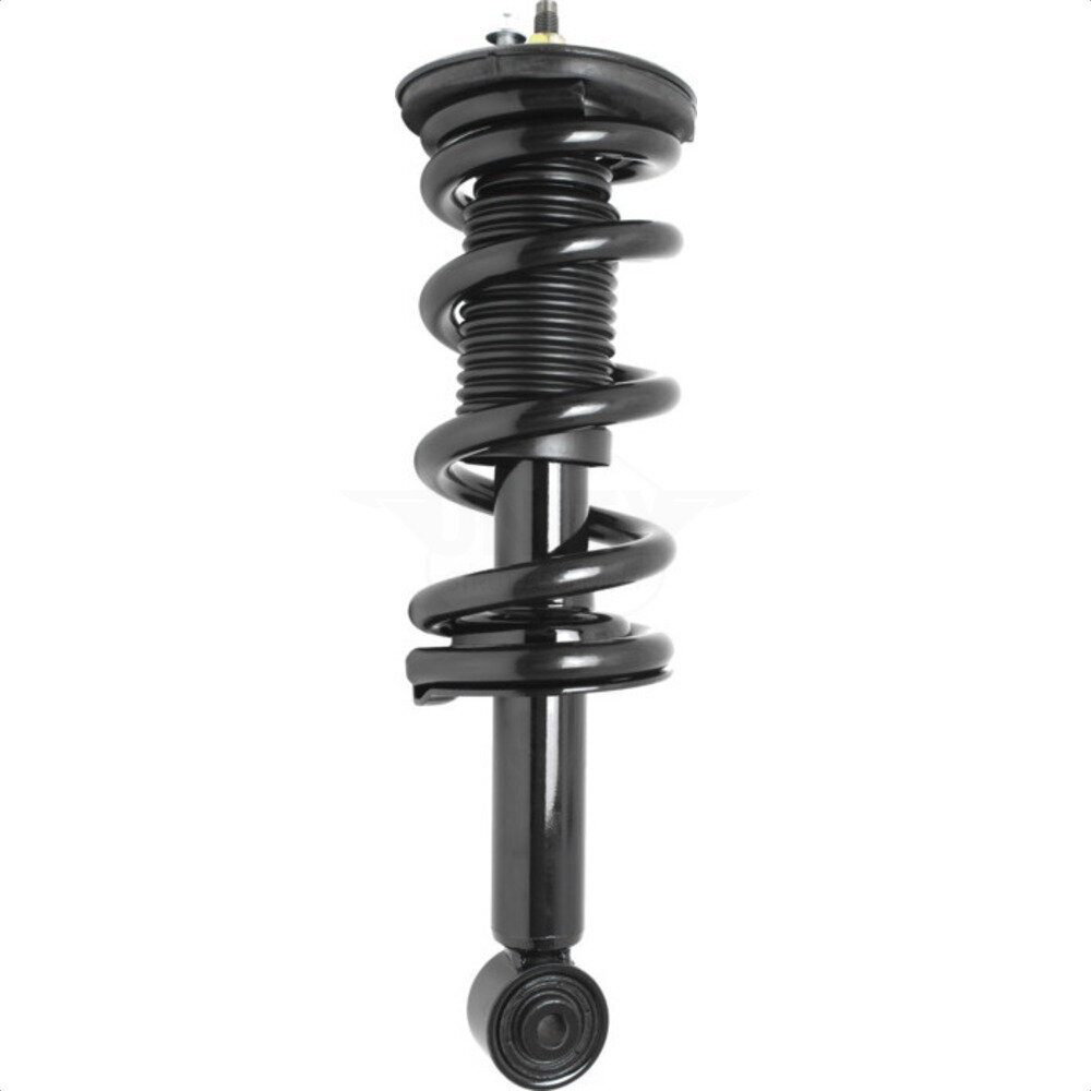 Suspension Strut Coil Spring Assembly