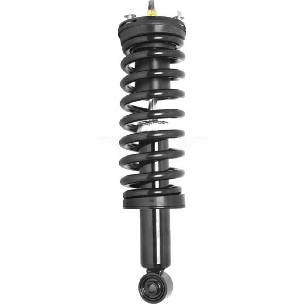Suspension Strut Coil Spring Assembly