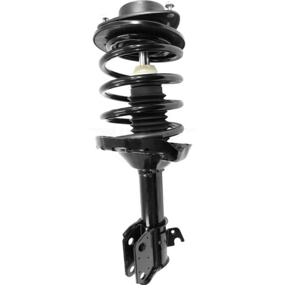 Suspension Strut Coil Spring Assembly