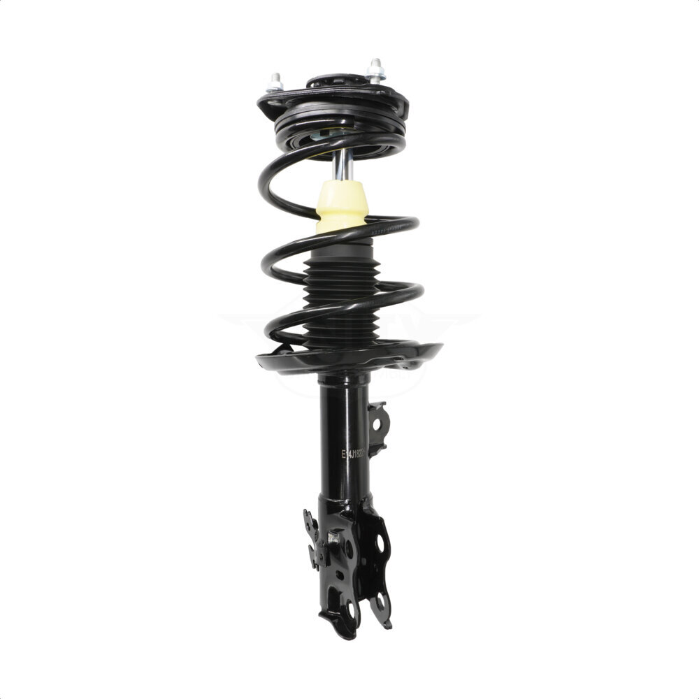 Suspension Strut Coil Spring Assembly
